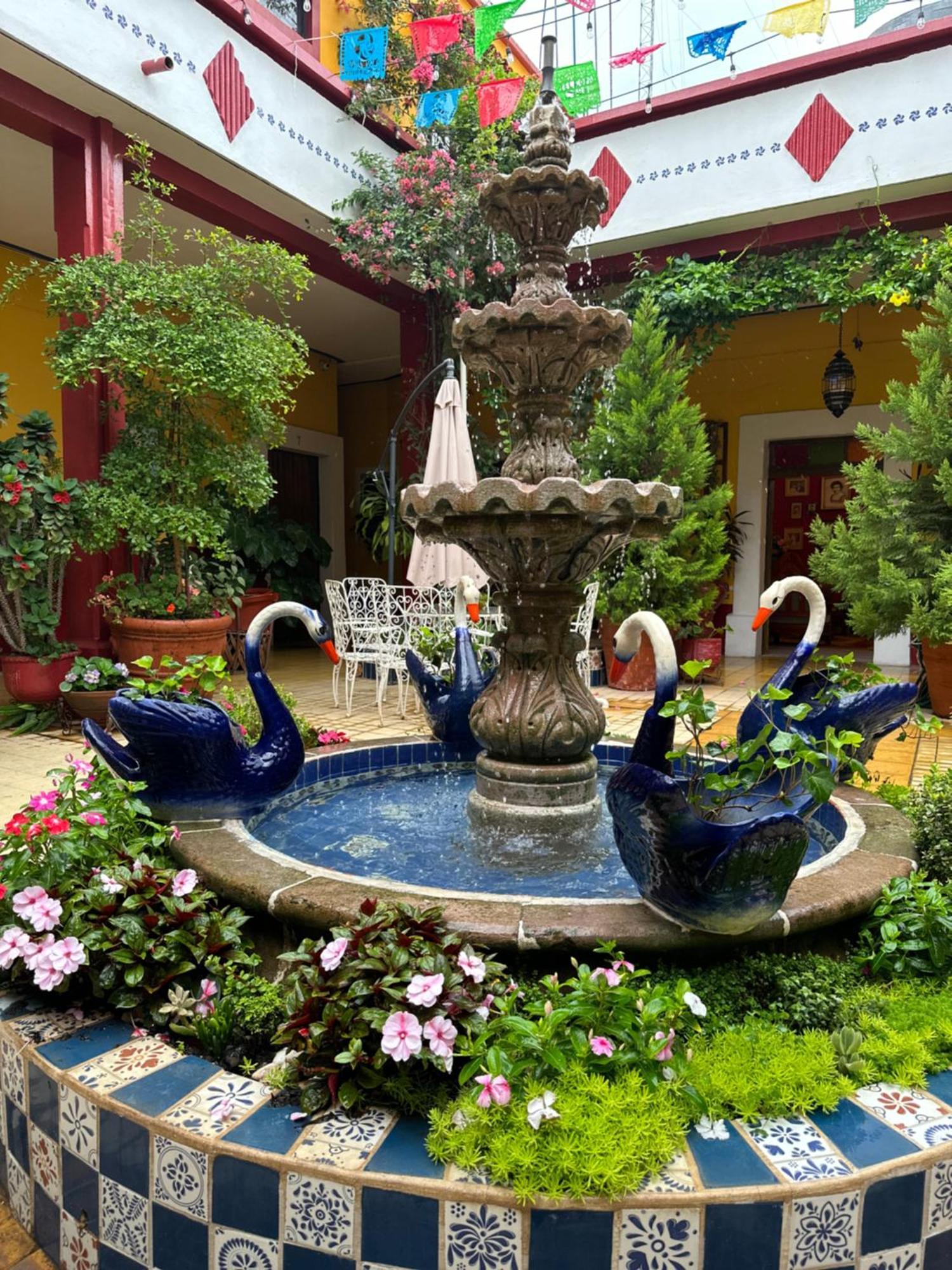 Copa De Oro Hotel Boutique Mascota Bagian luar foto