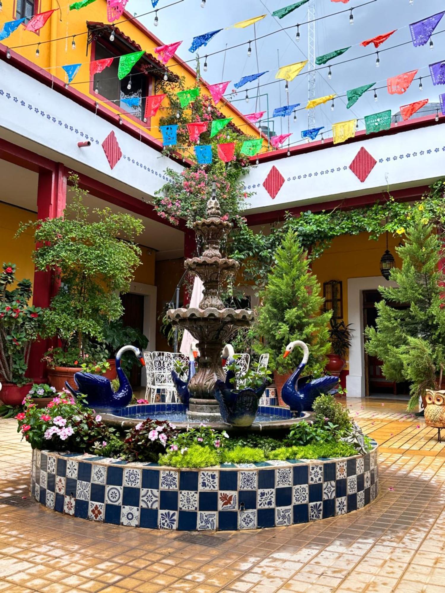 Copa De Oro Hotel Boutique Mascota Bagian luar foto