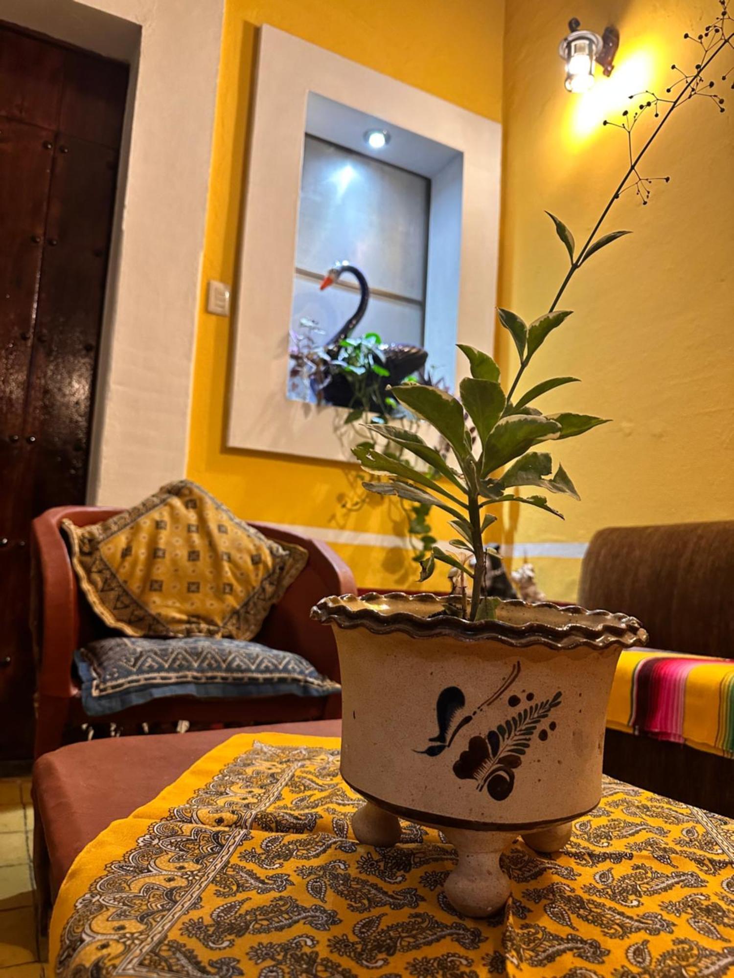 Copa De Oro Hotel Boutique Mascota Bagian luar foto