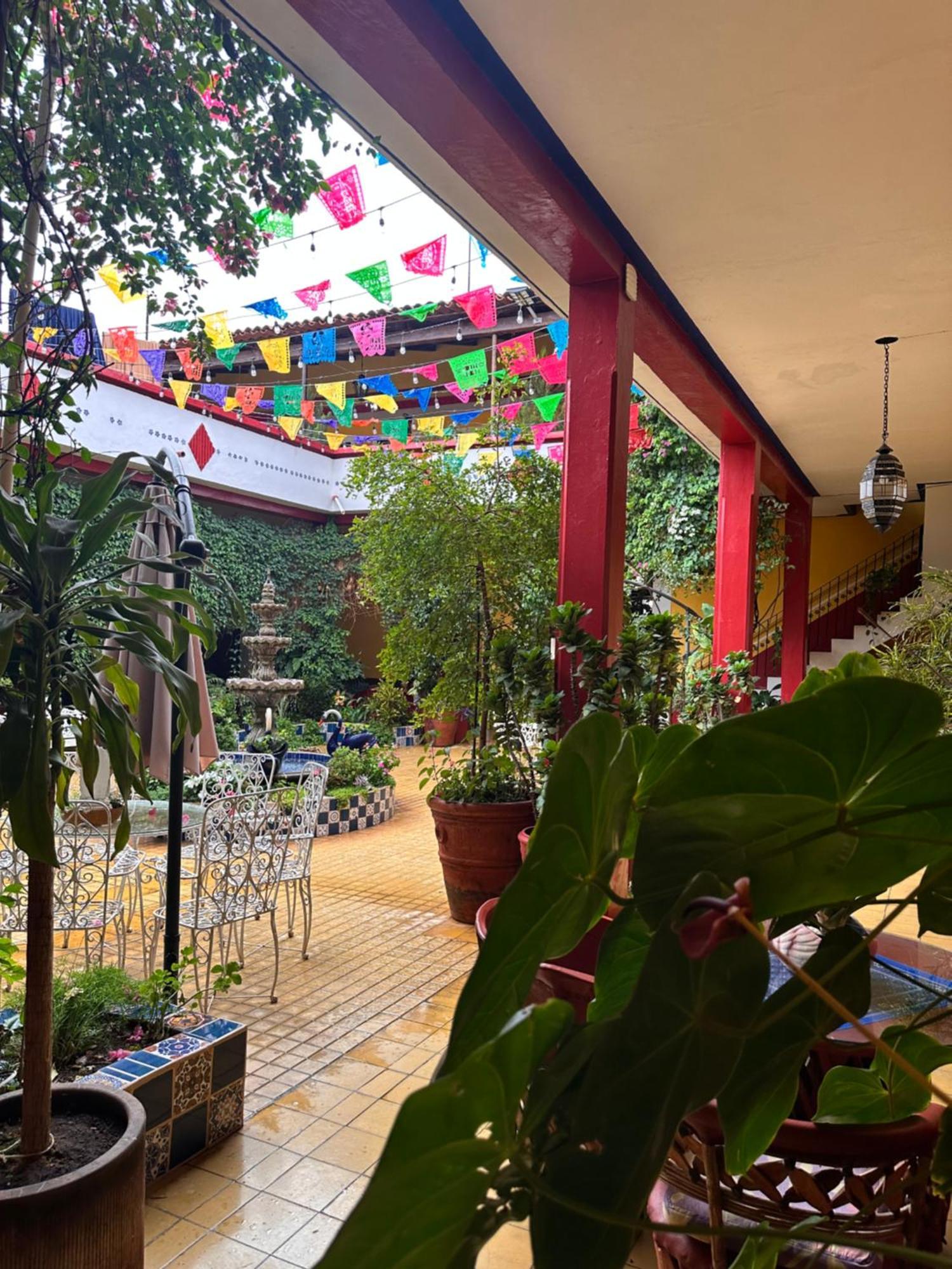 Copa De Oro Hotel Boutique Mascota Bagian luar foto