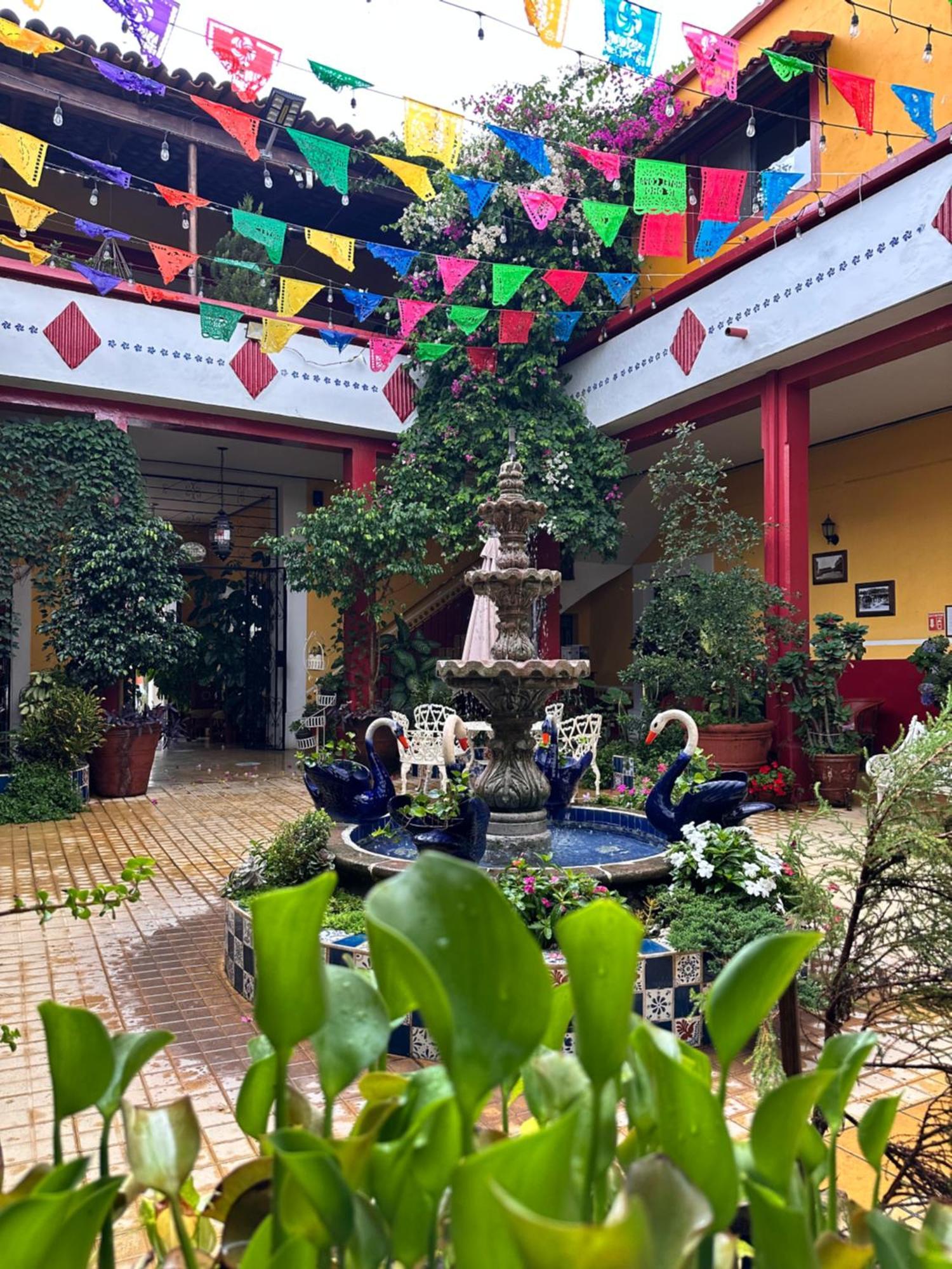 Copa De Oro Hotel Boutique Mascota Bagian luar foto