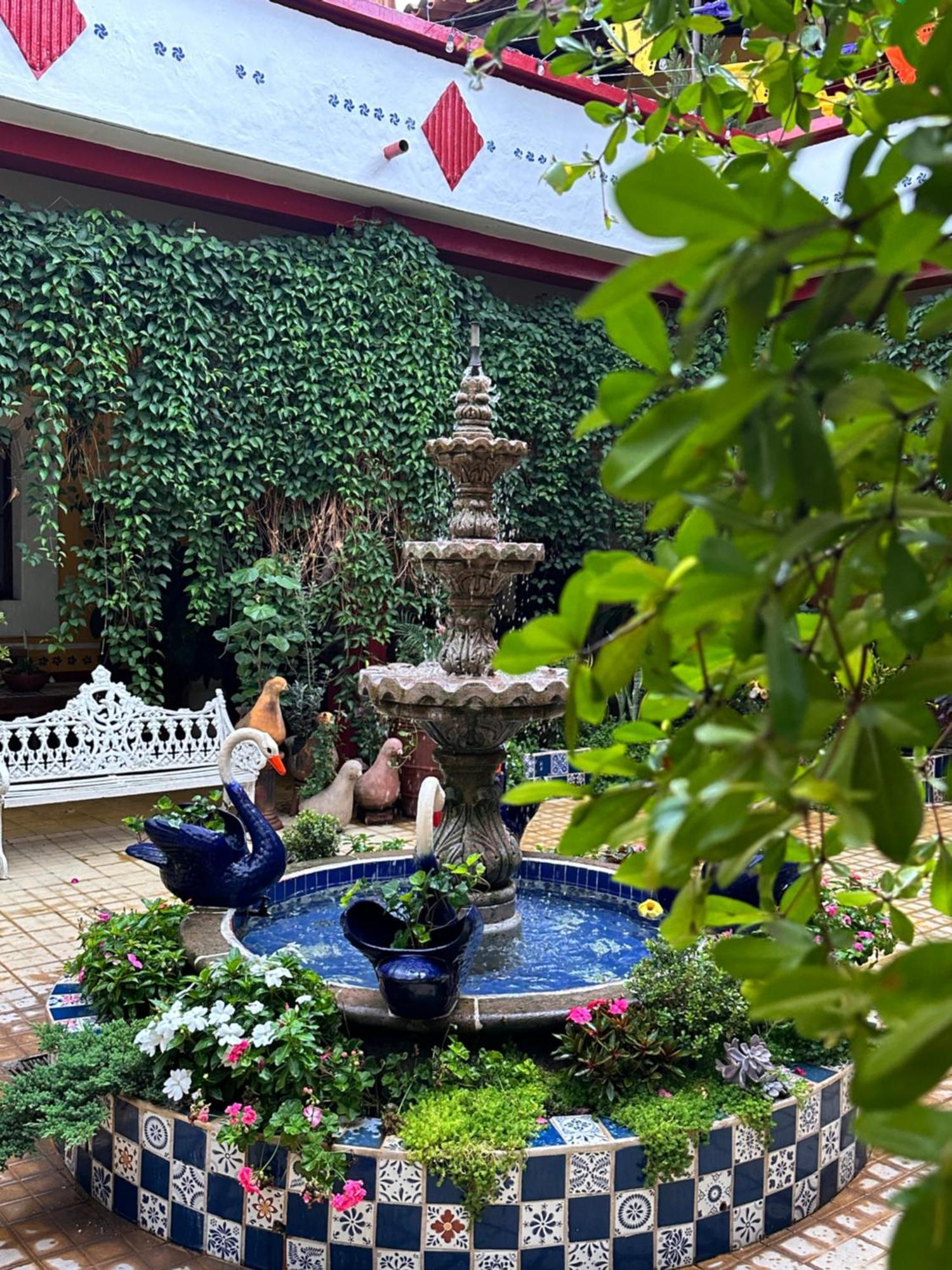 Copa De Oro Hotel Boutique Mascota Bagian luar foto