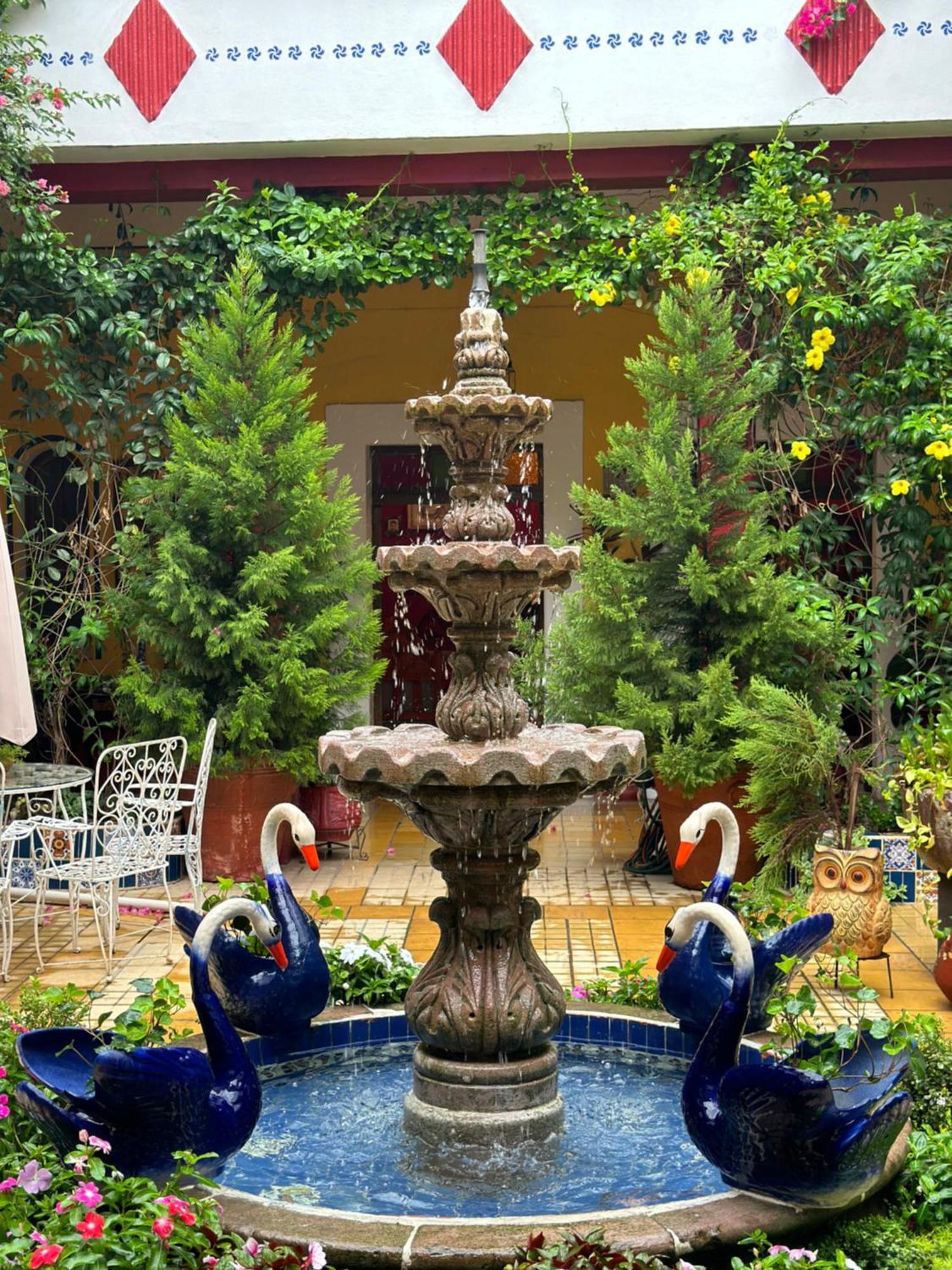 Copa De Oro Hotel Boutique Mascota Bagian luar foto